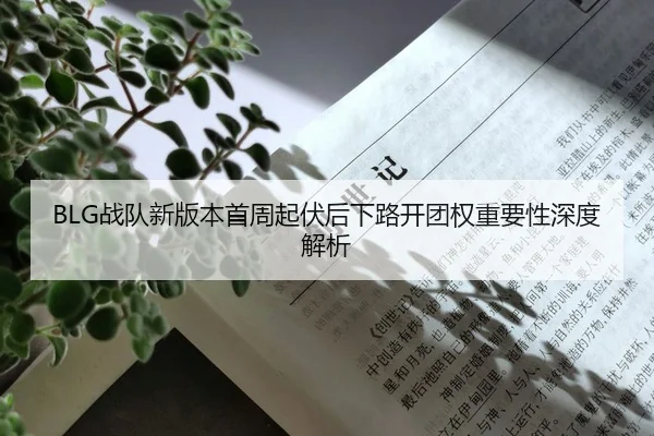 BLG战队新版本首周起伏后下路开团权重要性深度解析