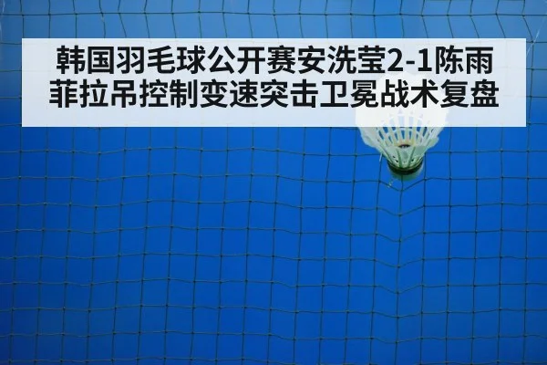 badminton net play