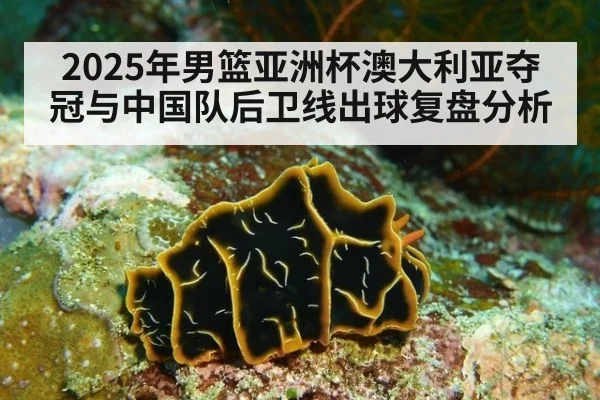 2025年男篮亚洲杯澳大利亚夺冠与中国队后卫线出球复盘分析